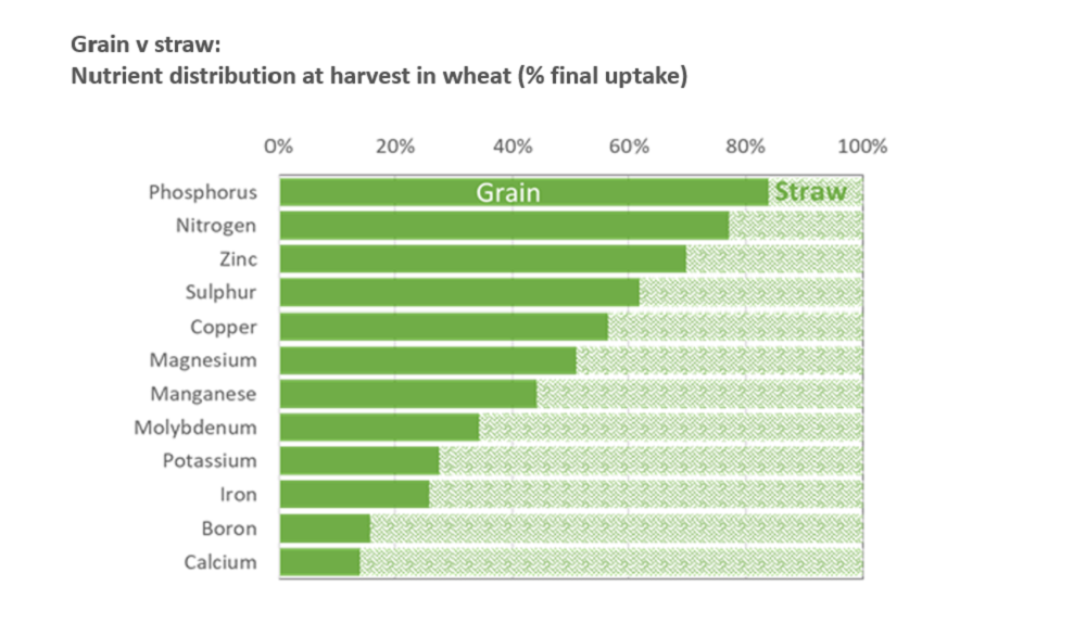 Nutrient distribution in wheat at harvest